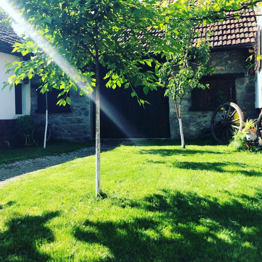 The Hunter House Villa Ciudanovita Dış mekan fotoğraf