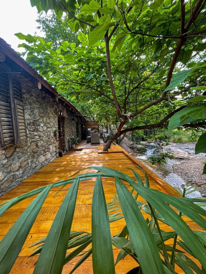 The Hunter House Villa Ciudanovita Dış mekan fotoğraf